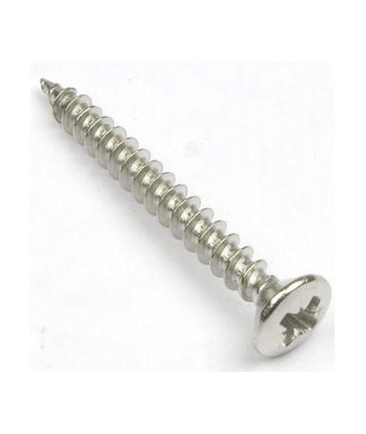 Skruv vvs 6x100mm 10st