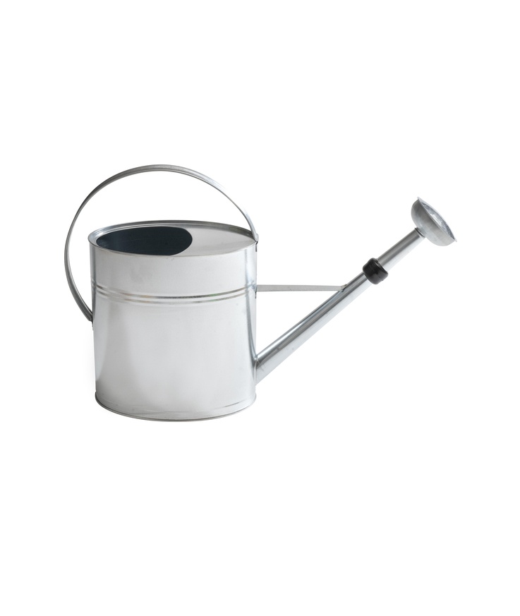 Vattenkanna m skruvstril nyby Zink 10l