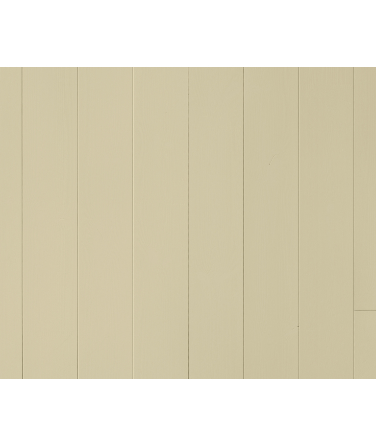 Panel slätspont putsad målad Beige s3010-y20r 15x118x4800