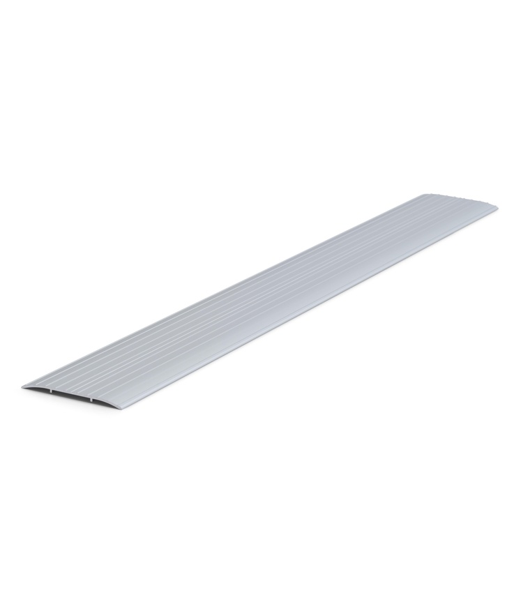 Dörrtröskel silver 100x1000mm