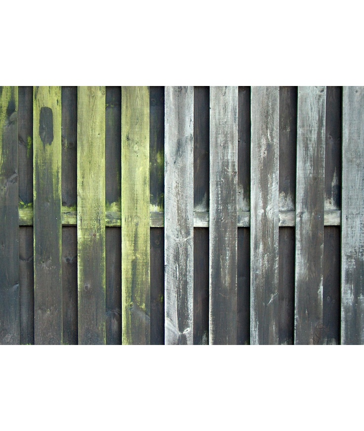 Desinficering grönfri biocid