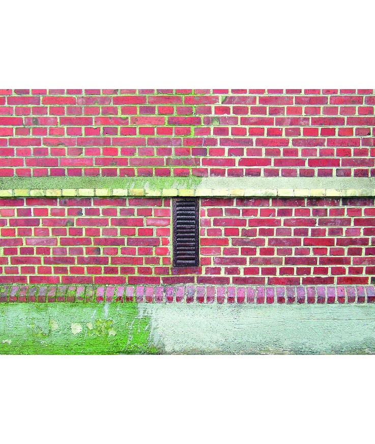 Desinficering grönfri biocid