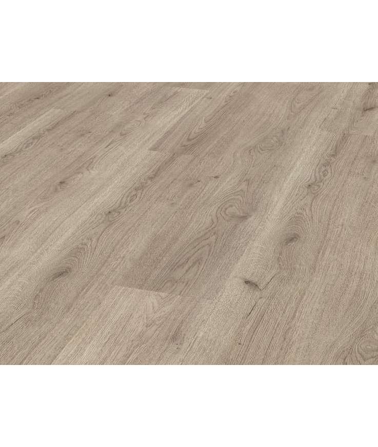 Laminat advanced 3126 trend Oak grey