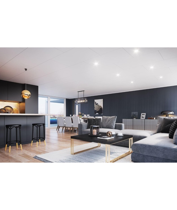 Innertak träfiber huntonit Brilliant penselm 11x620x1220