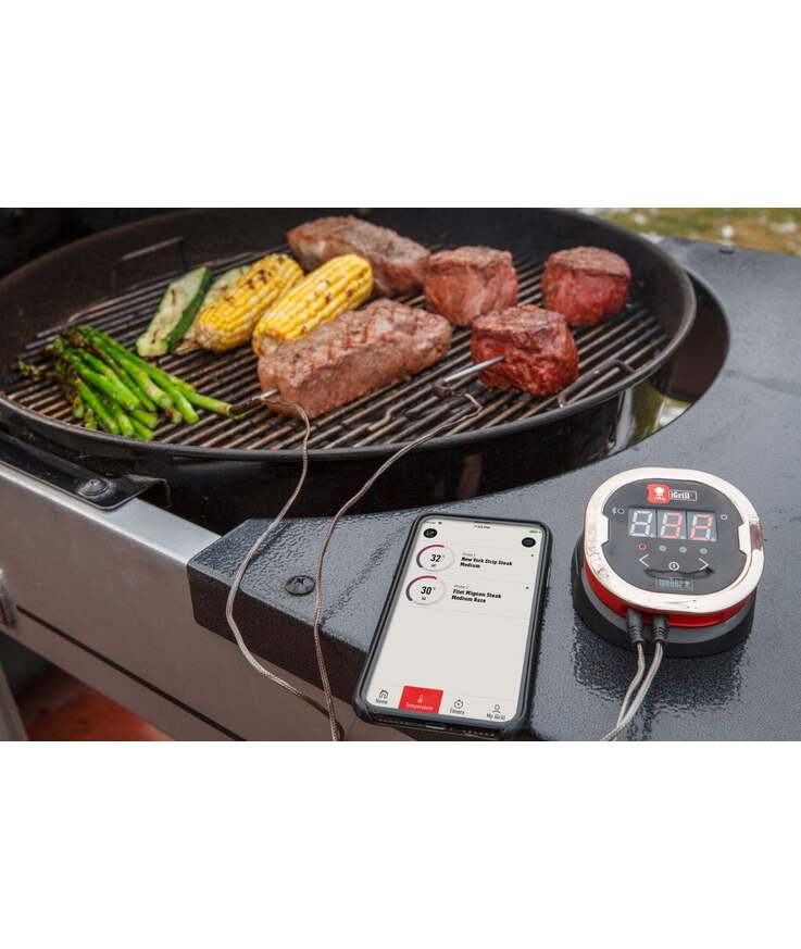 Termometer igrill 2