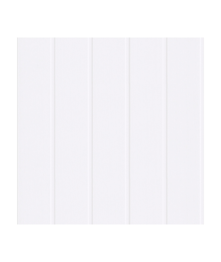 Takpanel smartpanel klassisk Vit 11x140x2390