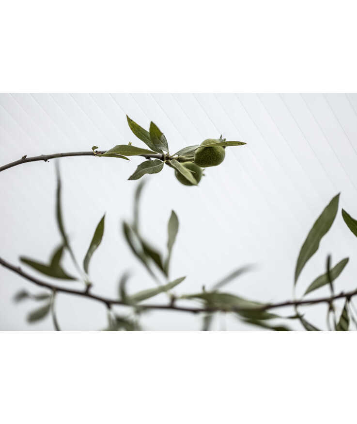 Kanalplast gop multiglas klar 6000x980x16mm