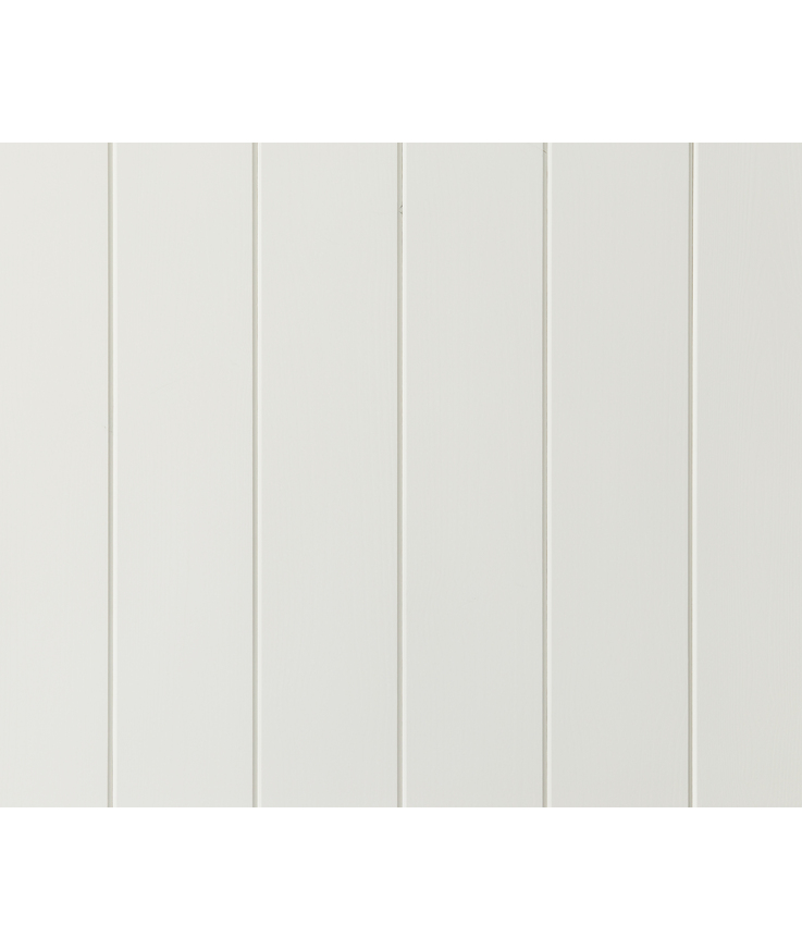 Faspanel putsad målad vit S0502-y 8% 15x118x4800
