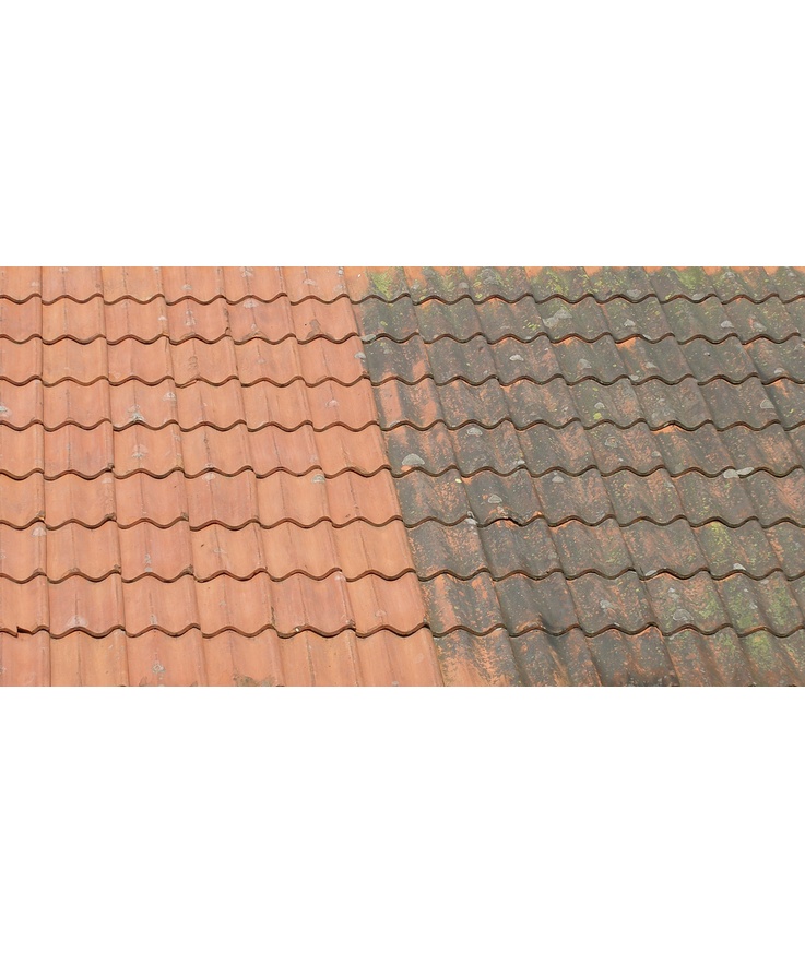 Desinficering grönfri biocid