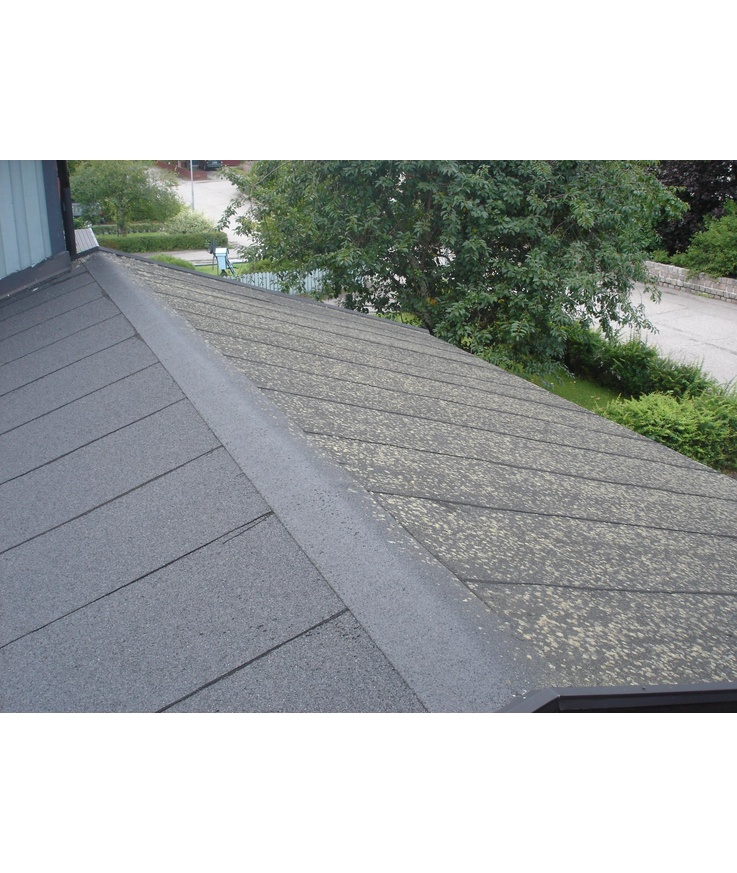 Desinficering grönfri biocid