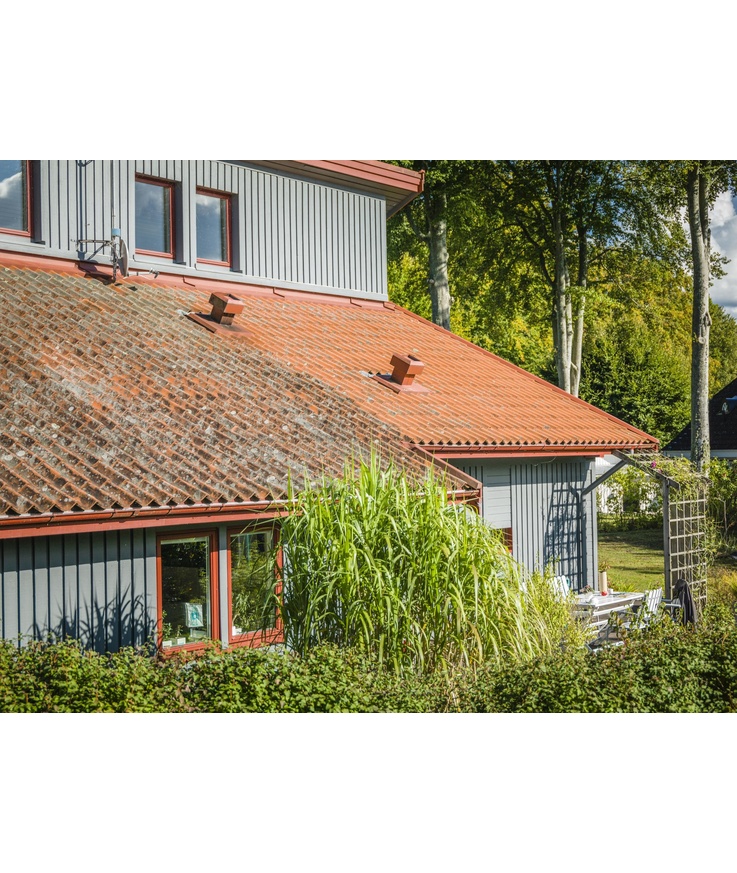 Desinficering grönfri biocid