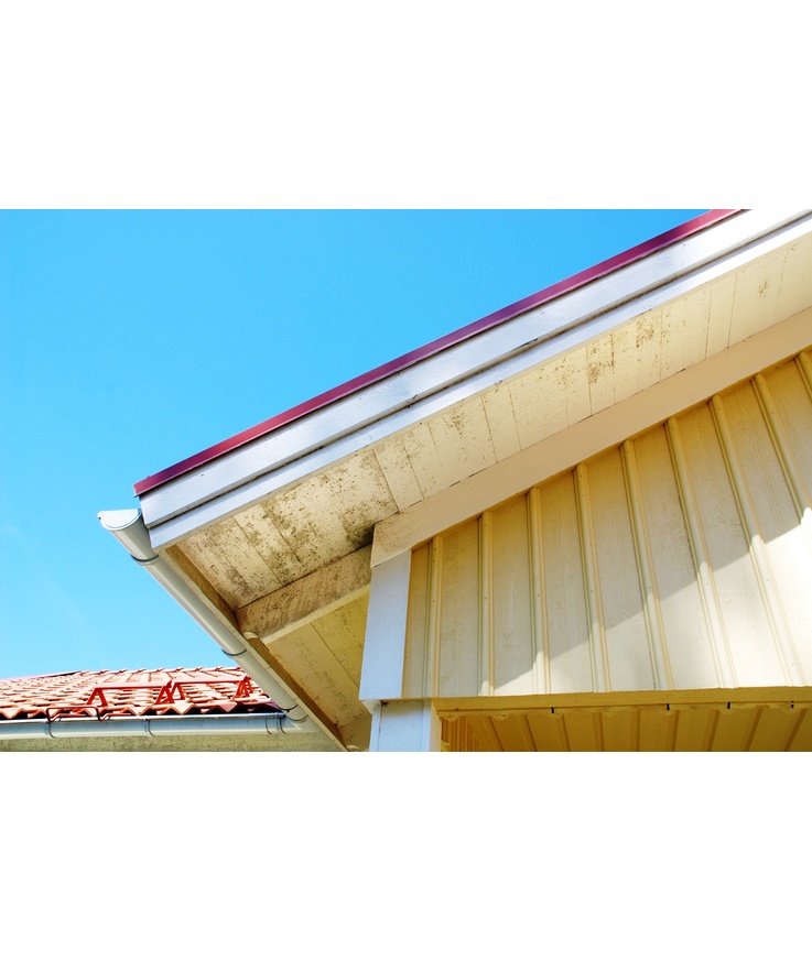 Desinficering prickfri biocid svarta mögelprickar på fasa