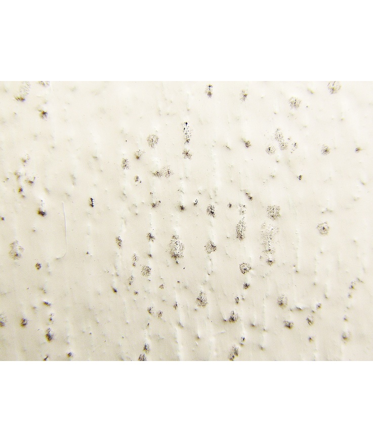 Desinficering prick-fri Direkt biocid sprayflaska