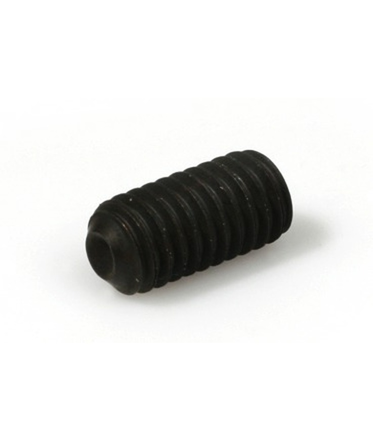 Stoppskruv msk6ss skålad 450hv Iso 4029 m6x8mm