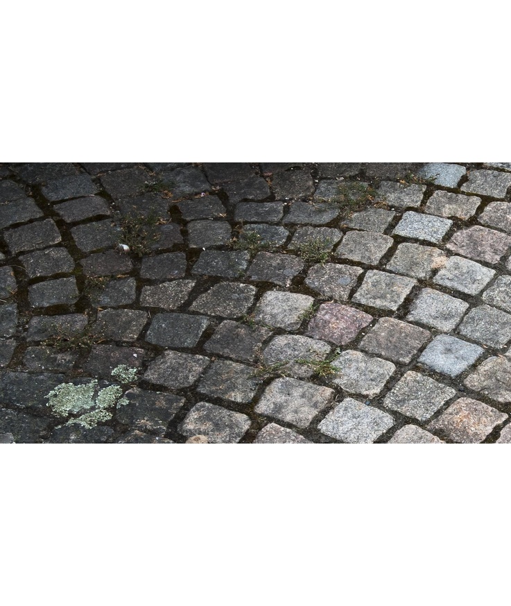 Desinficering grönfri biocid