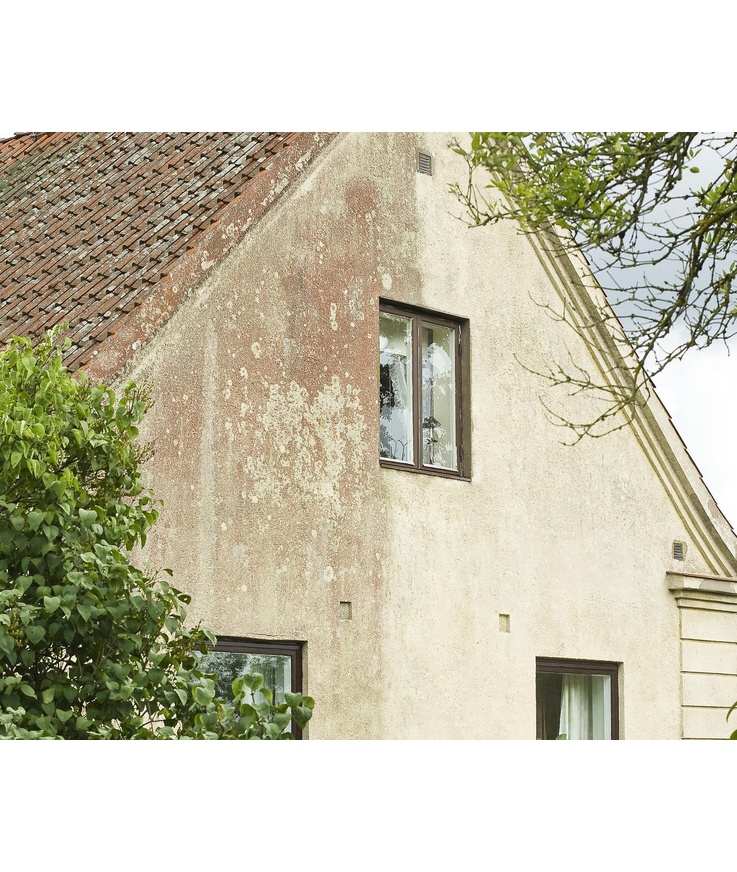 Desinficering grönfri biocid