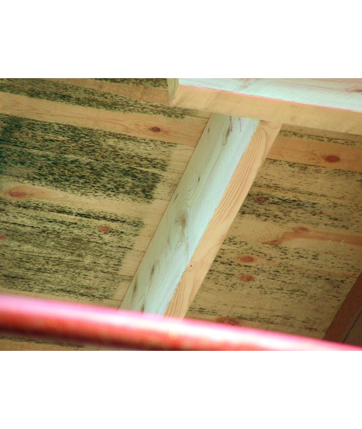 Desinficering prickfri biocid svarta mögelprickar på fasa